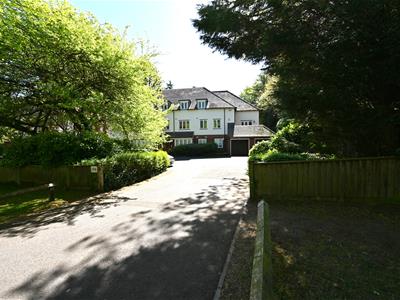 Picture 25